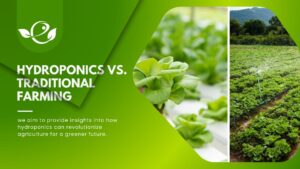 Hydroponic gardening vs. traditional gardening