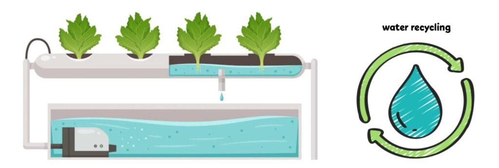 water saving in hydroponic farming
