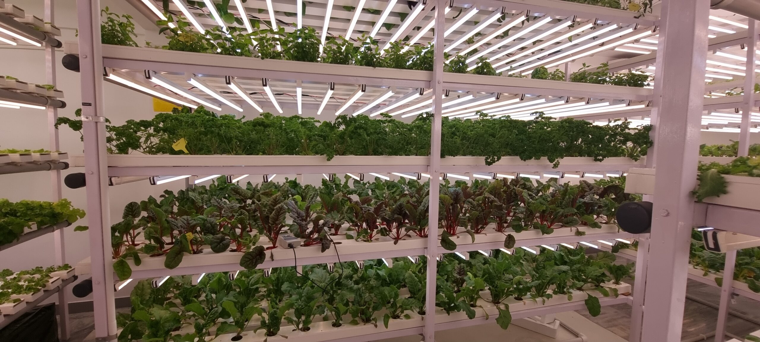 indoor hydroponics firm