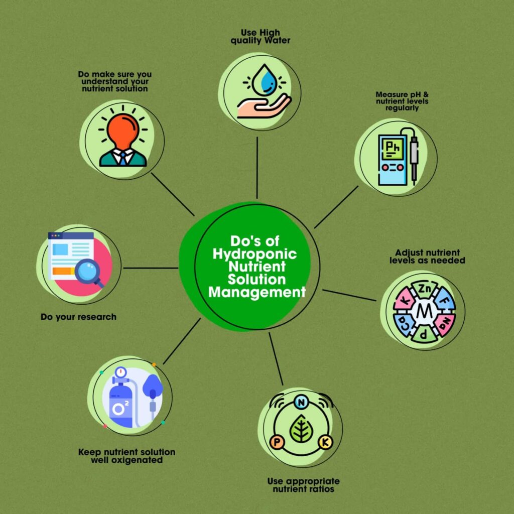 hydroponics nutrient solution management