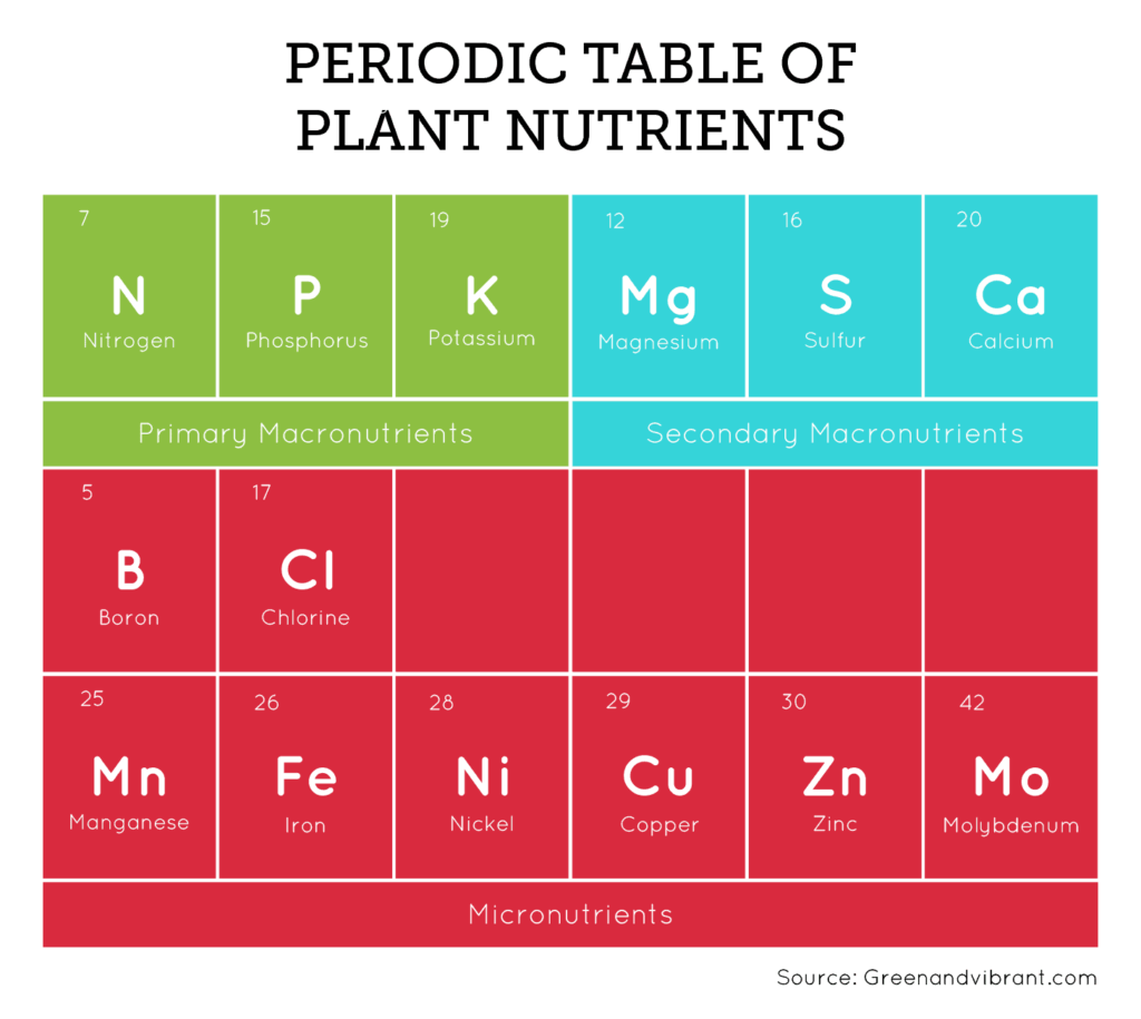 plant nutrients