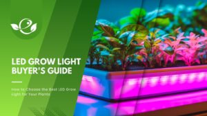 Hydroponic grow lights