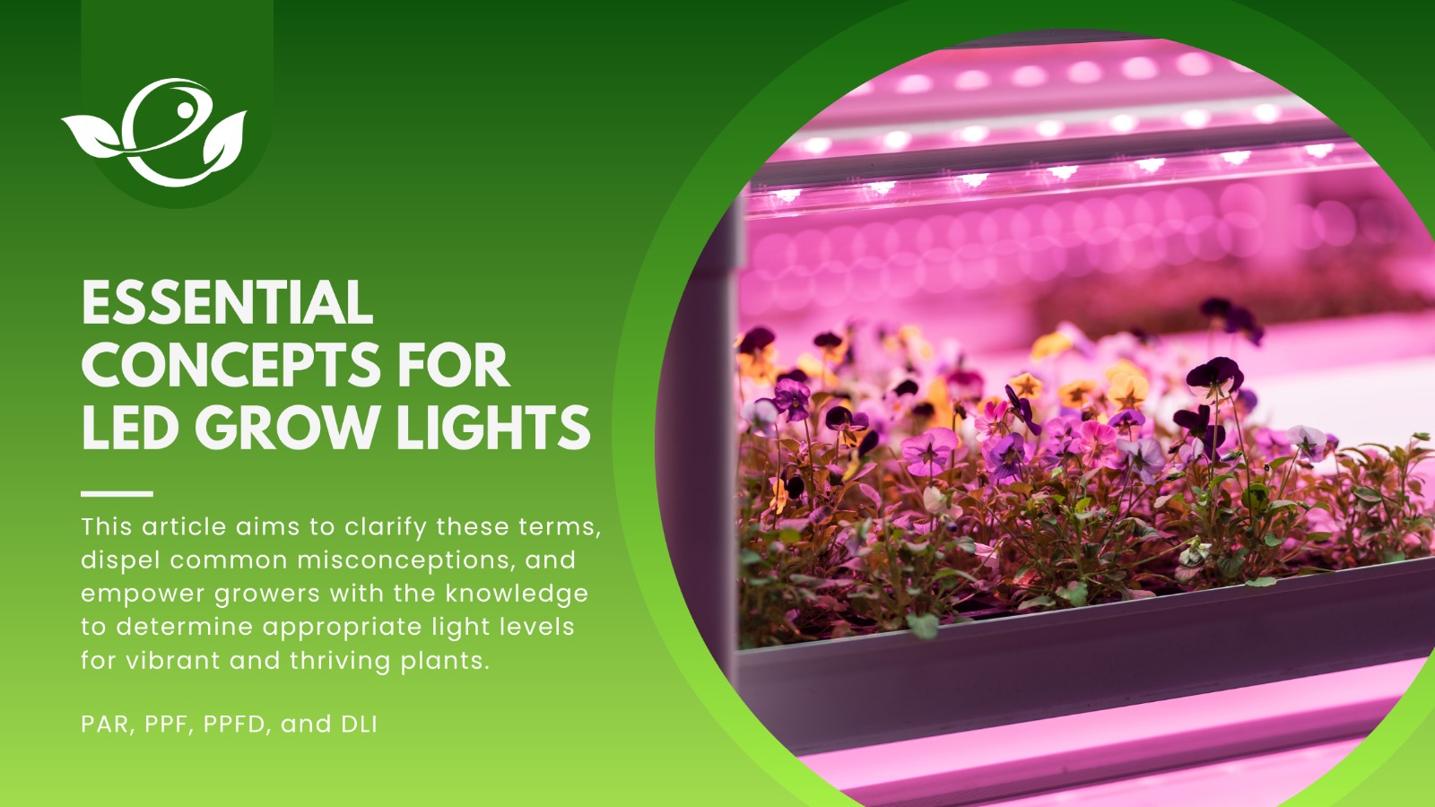 Hydroponic grow lights