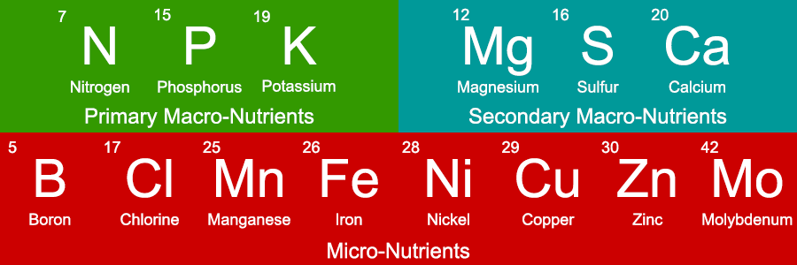 plant-nutrients, Hydroponic Nutrient Solution