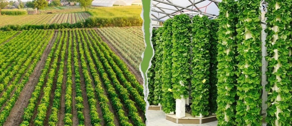 AEROPONICS VS TRADITIONAL FARMING