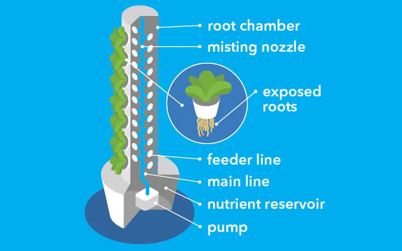 AEROPONICS