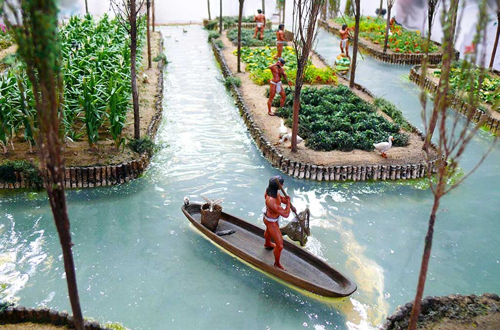 Chinese floating gardens