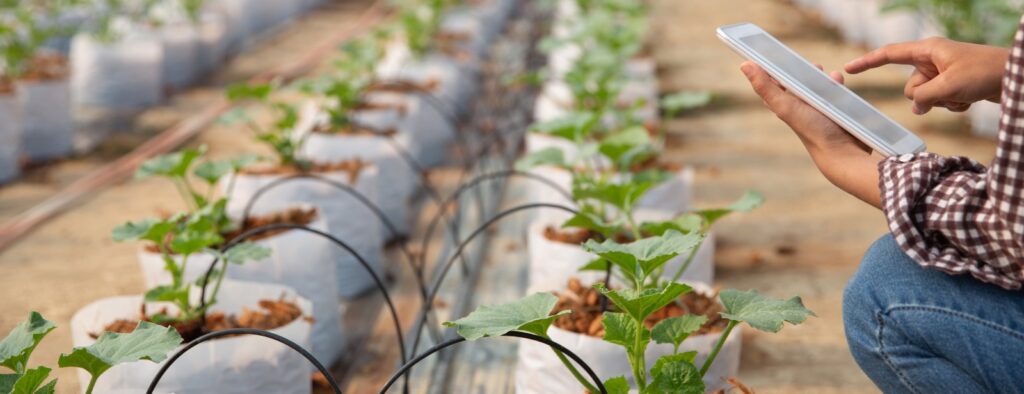 Drip irrigation systems