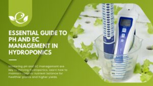 pH and EC Management in Hydroponics