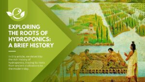 History of Hydroponics