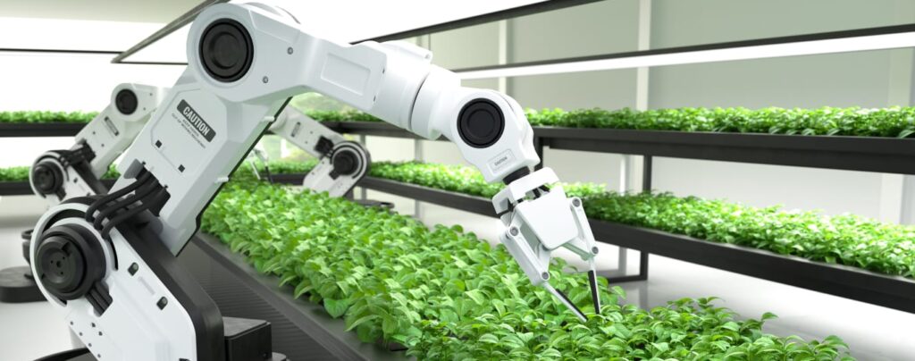 Hydroponic system automation