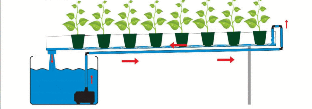 different types of hydroponics