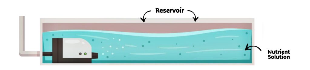 nutrient container in hydroponics