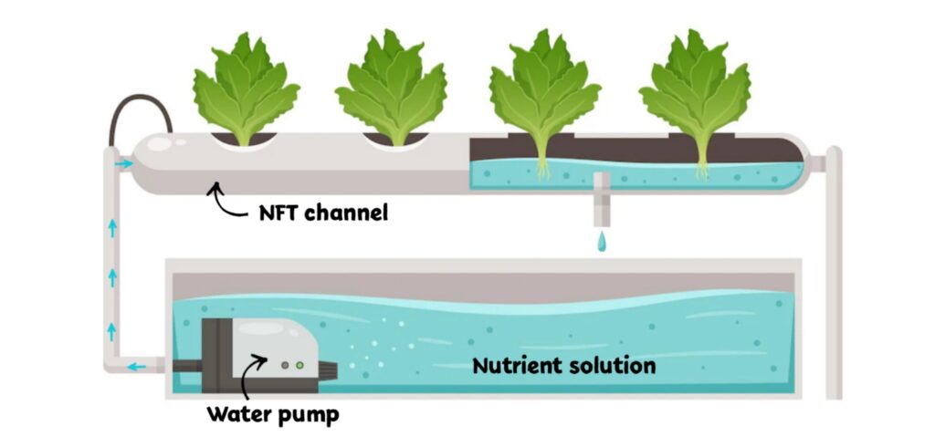 NFT system water filtration methods