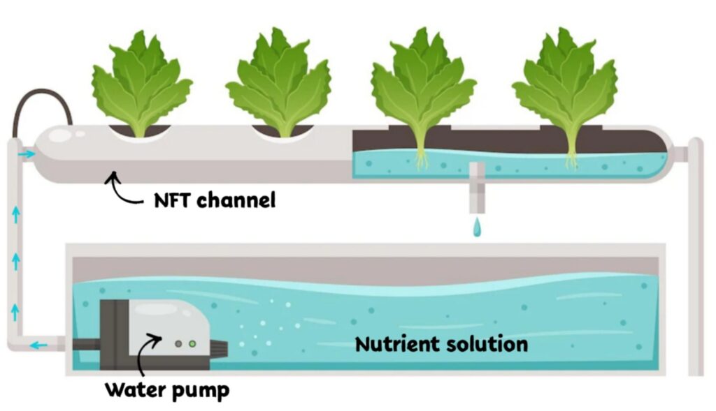 NFT system water filtration methods