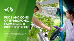 Pros and Cons of Hydroponic Farming