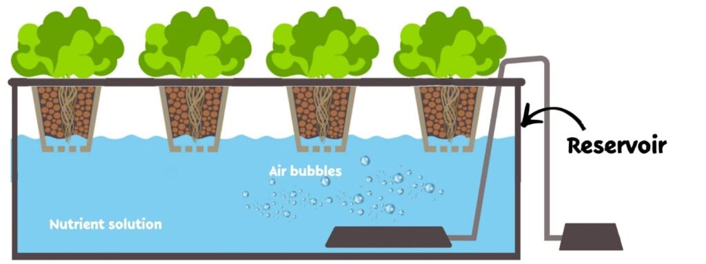 reservoir in DWC system