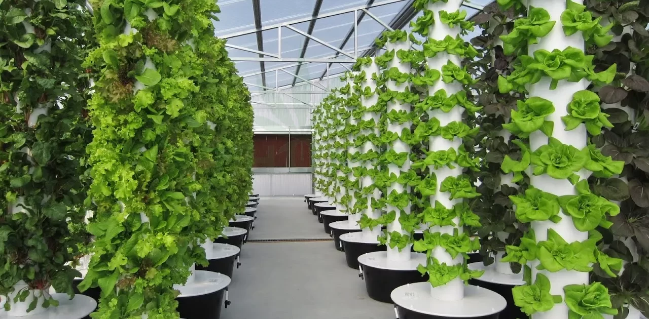 aeroponic-garden-tower