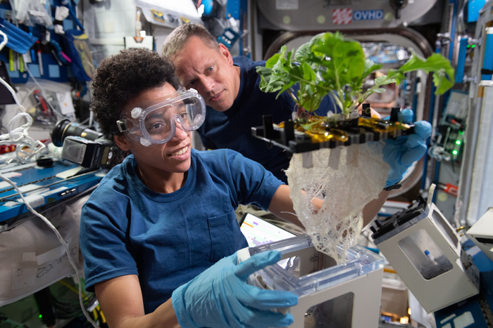 development in the field of aeroponics