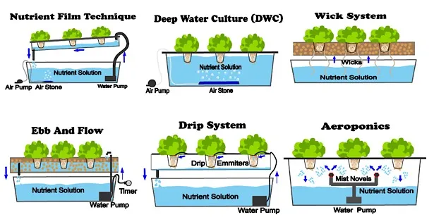 different types of hydroponic system