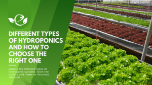 different types of hydroponic