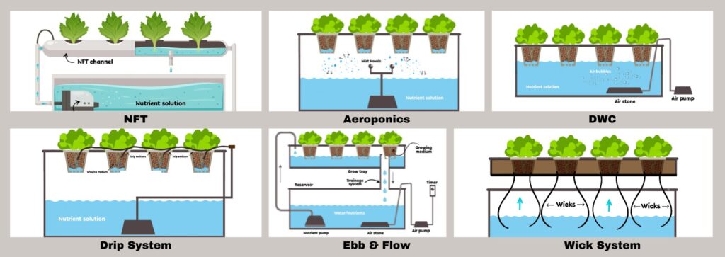 hydroponics system