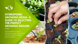 selecting the right hydroponic growing medium
