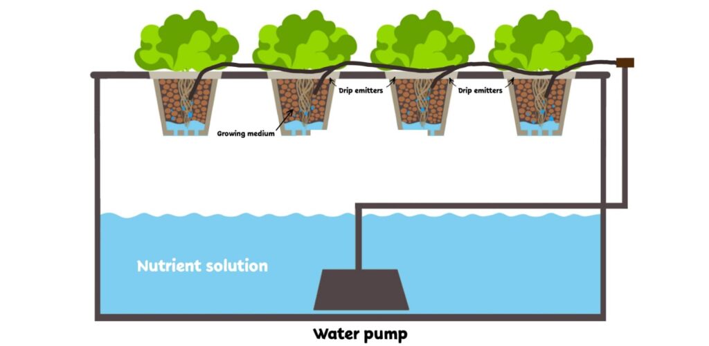 water supply in drip system