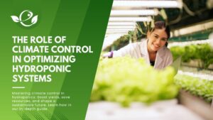 Climate Control in Hydroponic Systems