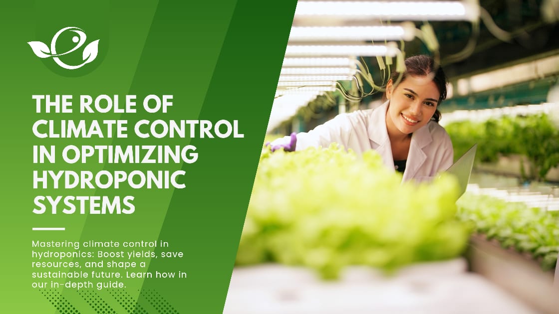 Read more about the article The Role of Climate Control in Optimizing Hydroponic Systems