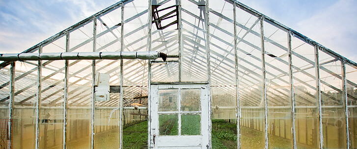 Greenhouse