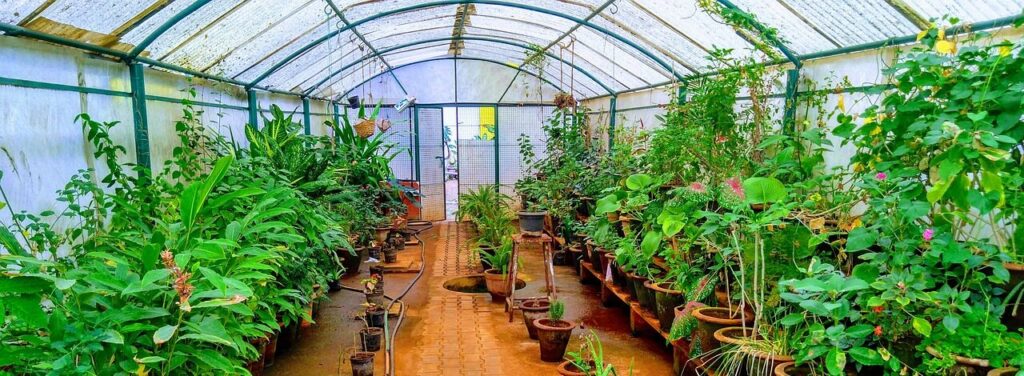 Greenhouse