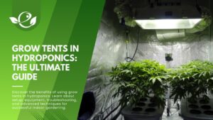 Grow Tents in Hydroponics