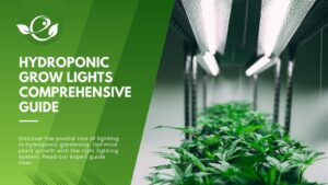 A Comprehensive Guide to Hydroponic Grow Lights