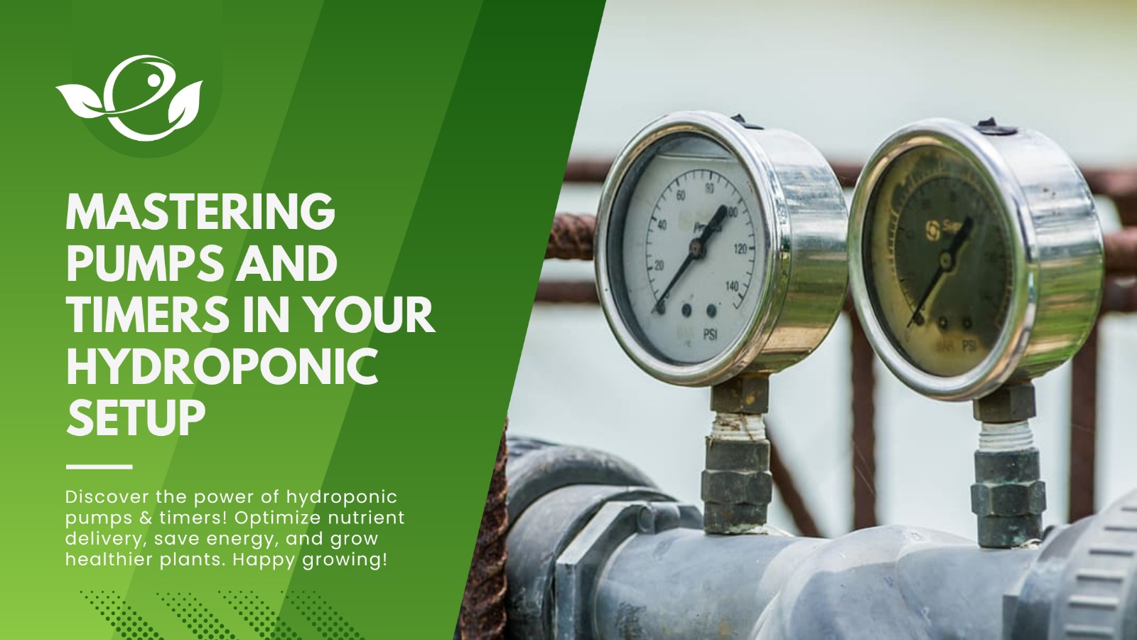 Read more about the article Mastering Pumps and Timers in Your Hydroponic Setup