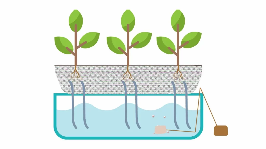 Oxygenation