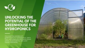 Potential of The Greenhouse for Hydroponics
