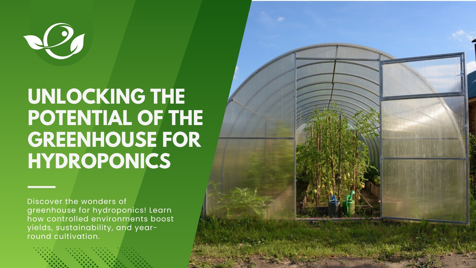 Read more about the article Unlocking the Potential of The Greenhouse for Hydroponics