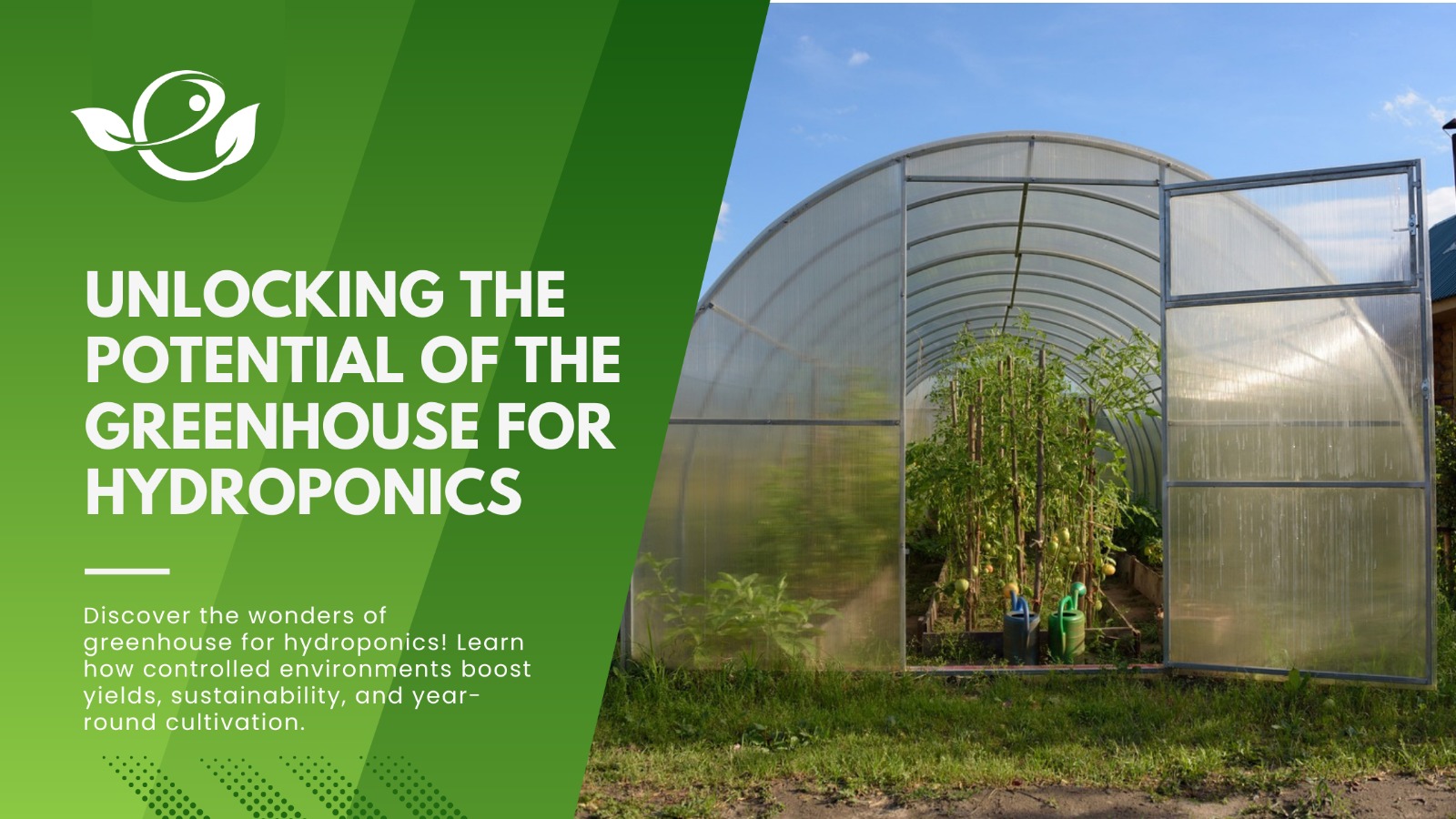 Potential of The Greenhouse for Hydroponics