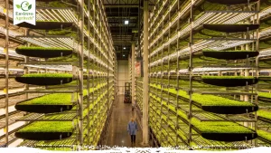 Vertical Farming Systems