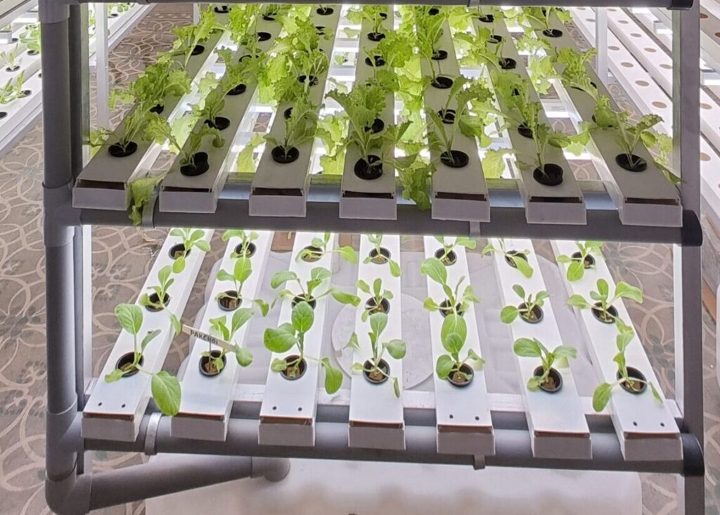 Vertical Farming Systems