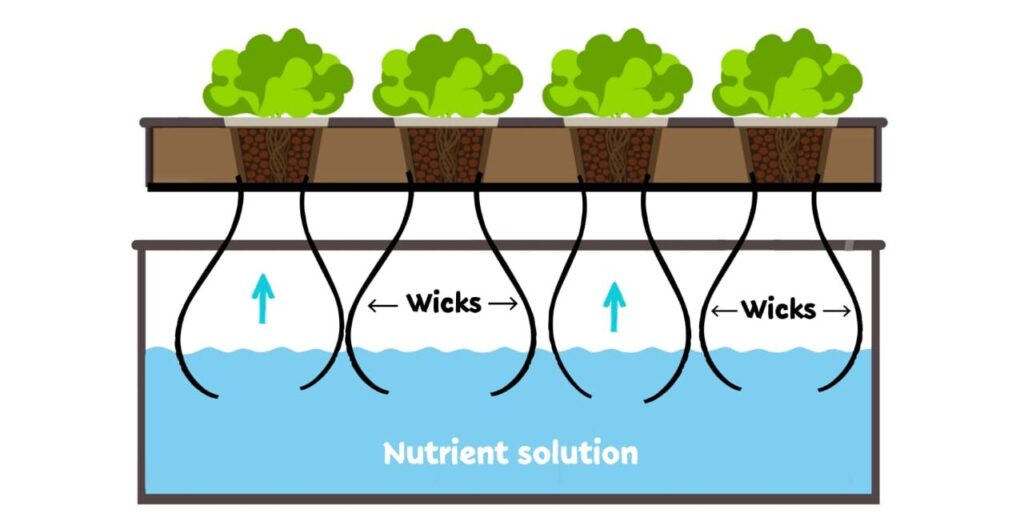 Wick-System