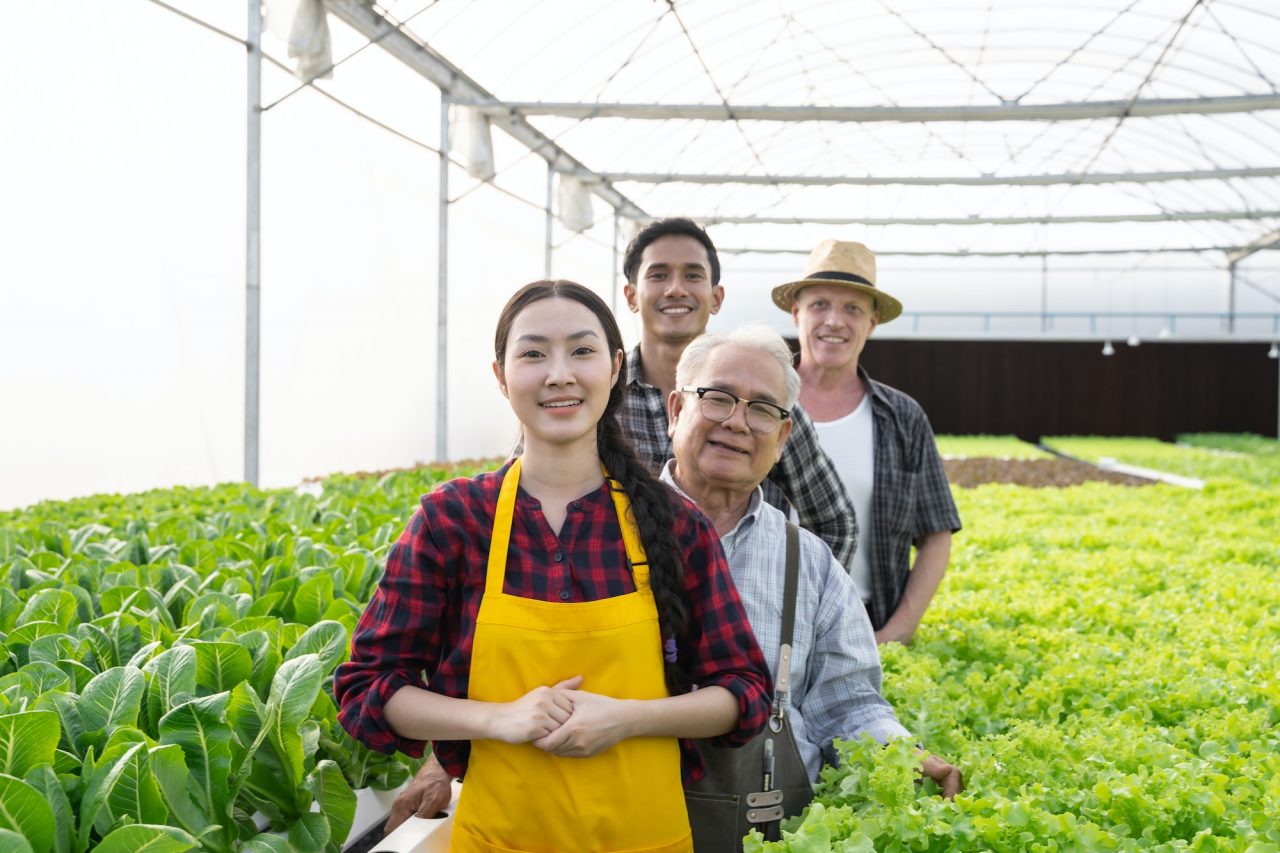 portrait group of team worker organic vegetables hydroponics farm