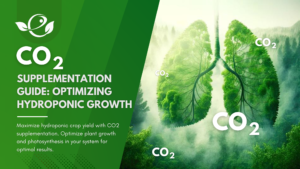 CO2 supplementation