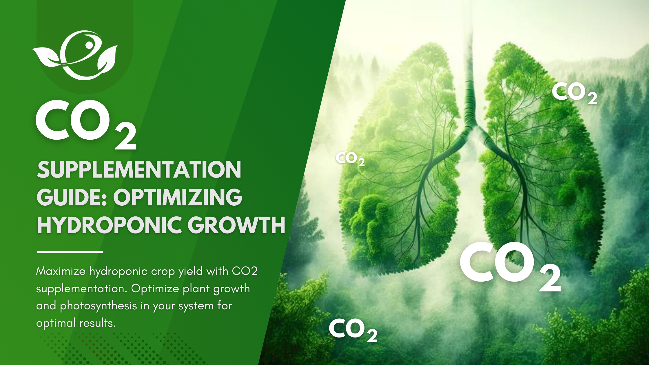 Read more about the article CO2 Supplementation Guide: Optimizing Hydroponic Growth