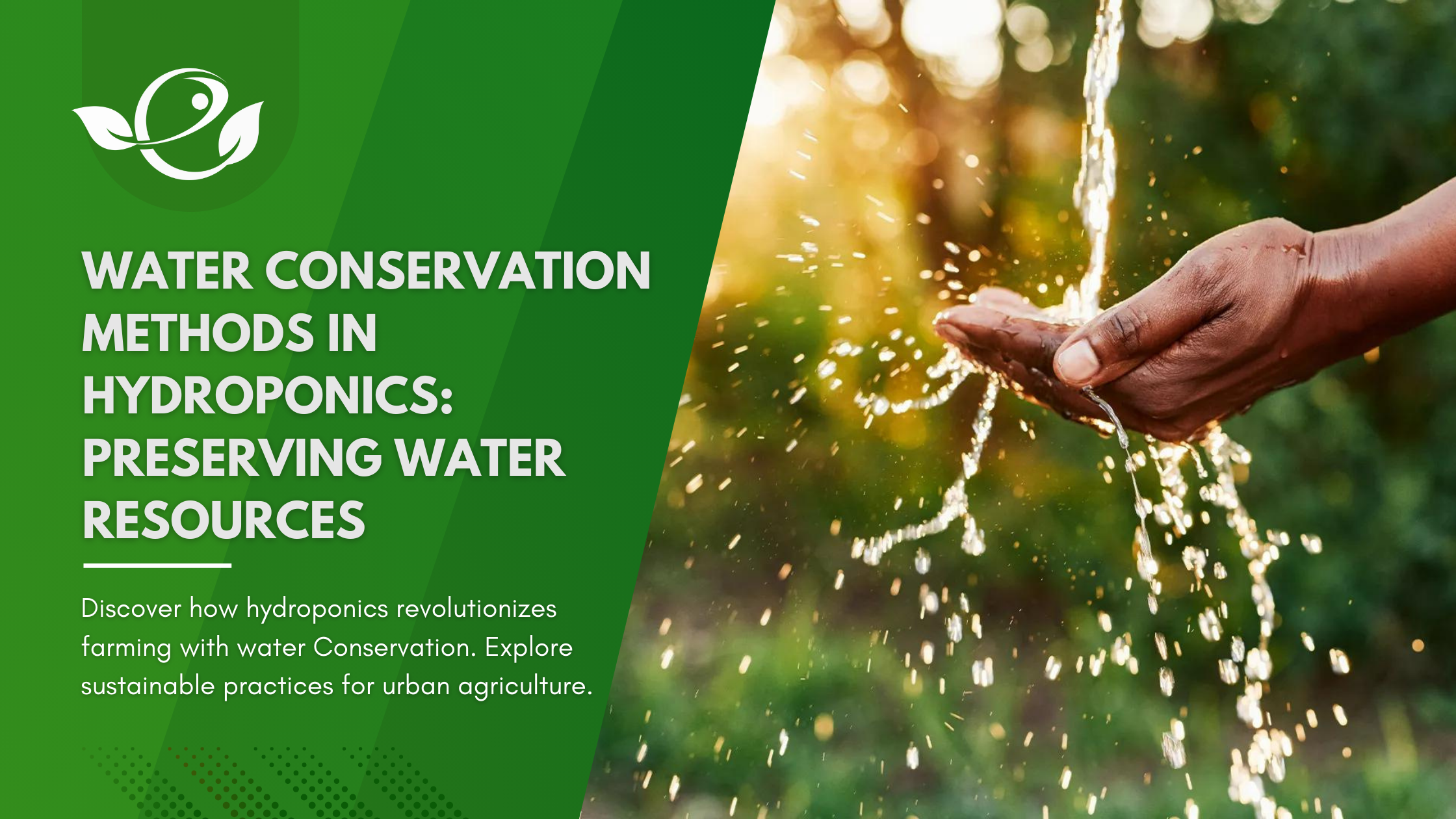 Read more about the article Water Conservation Methods in Hydroponics: Preserving Water Resources