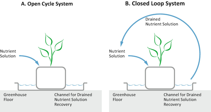 Nutrient Recycling