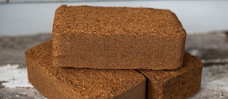 Coco Coir Bricks