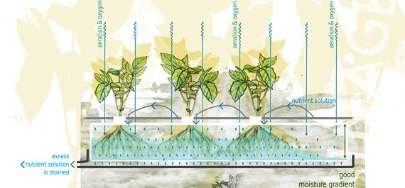 Hydroponic Growing medium