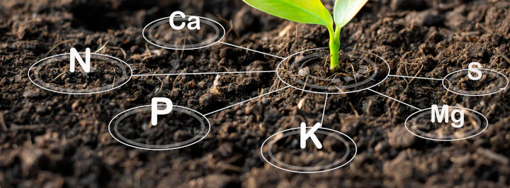 hydroponic nutrients